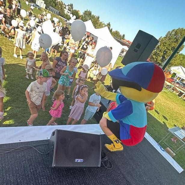 Dj Smajlík